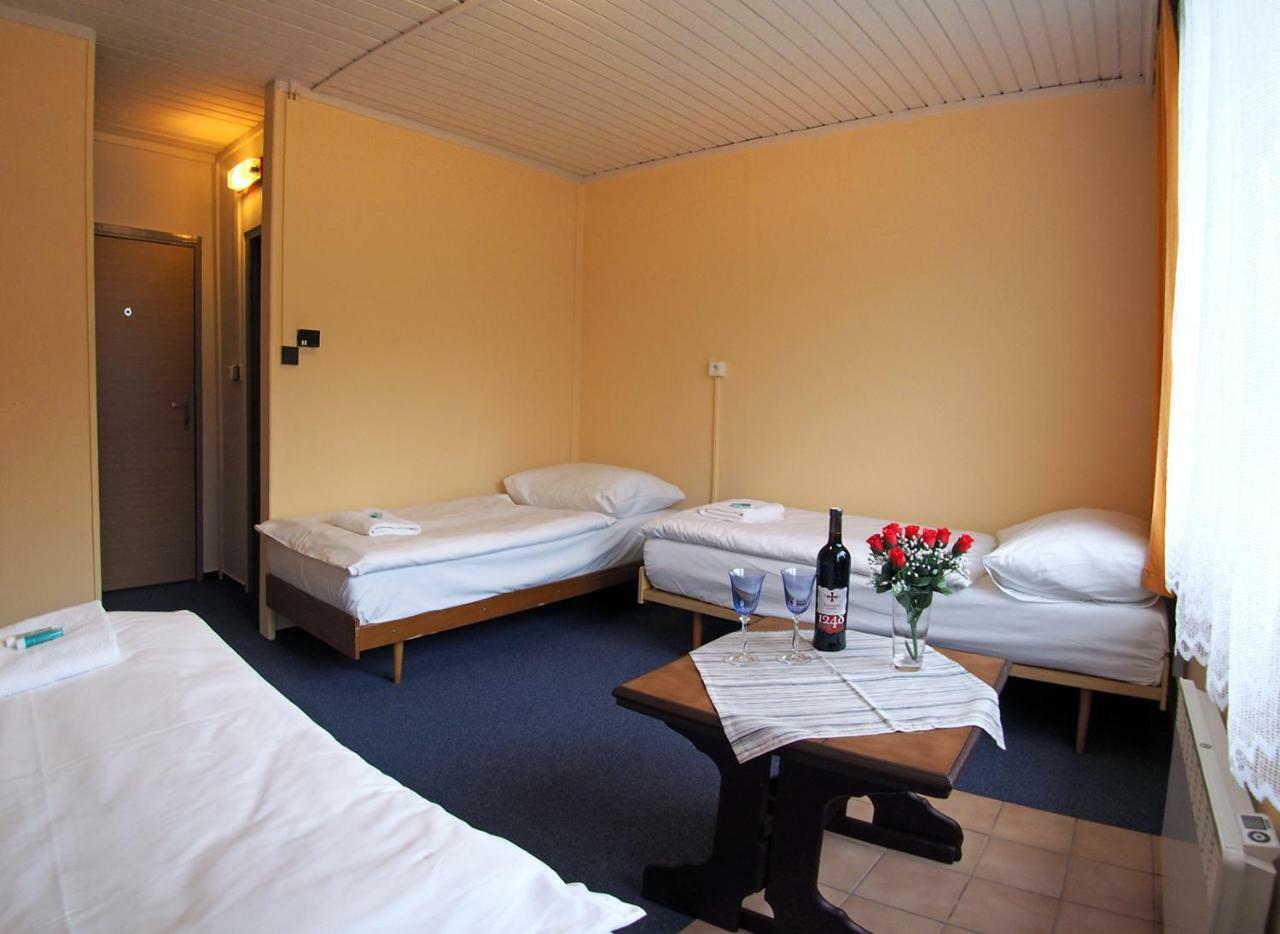 Pod Javorem Hotel Velké Karlovice Eksteriør billede